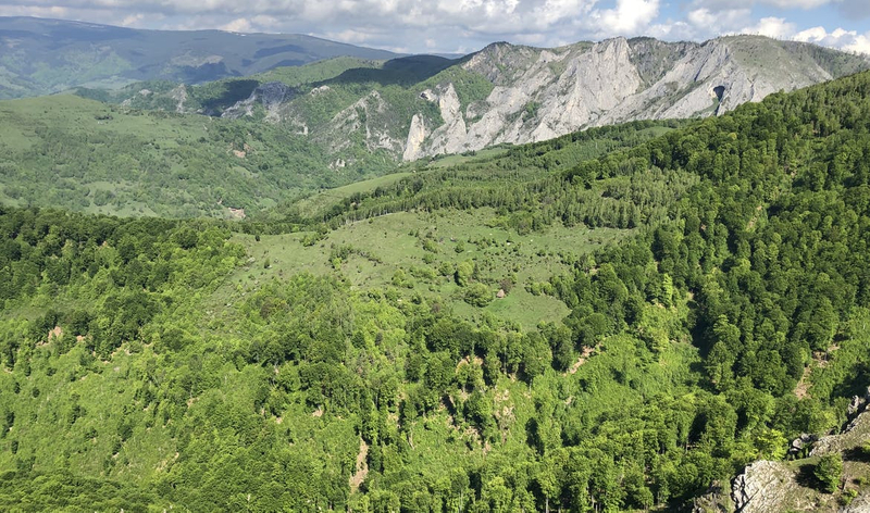 Rezervația Scărița - Belioara